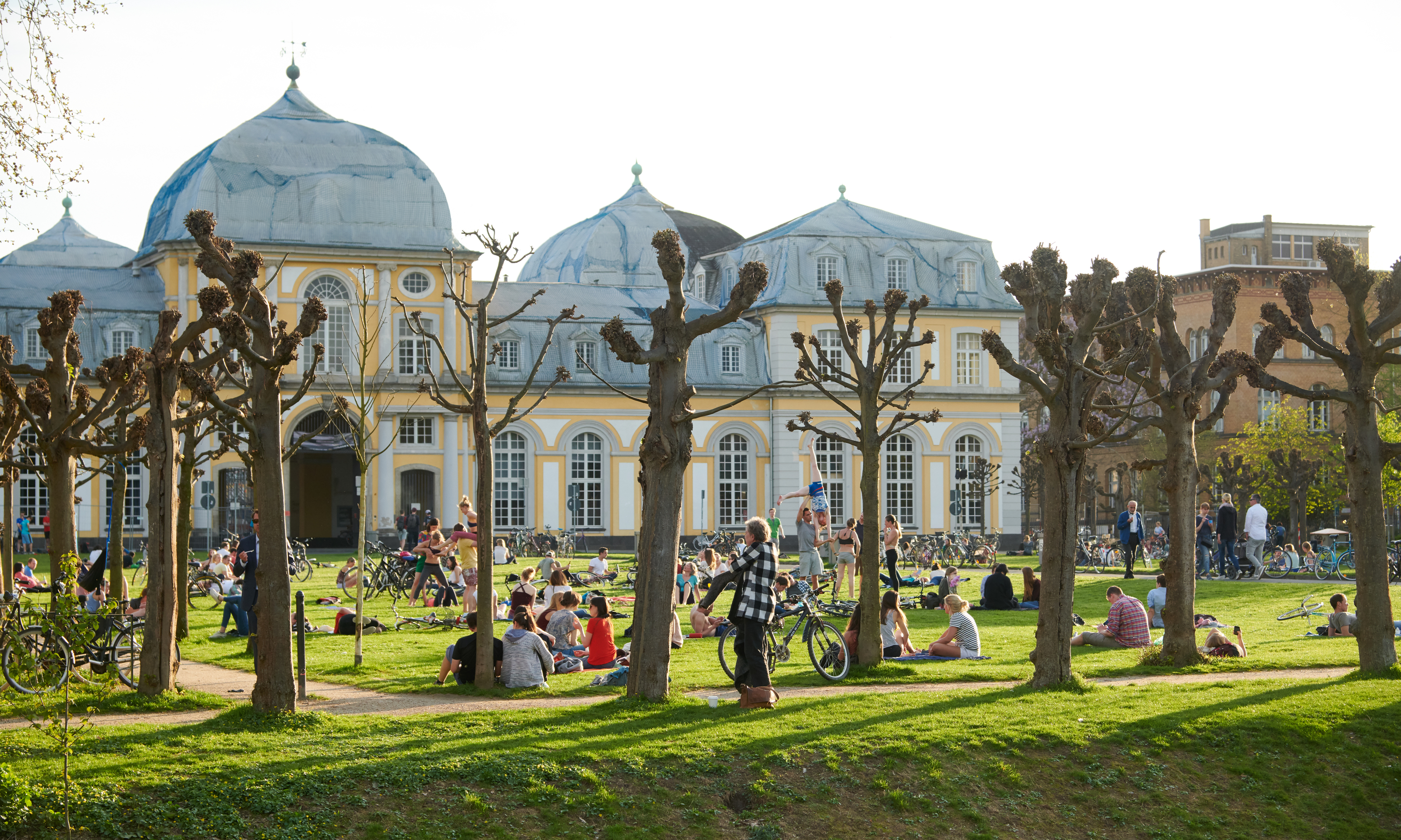 Header_Schloss_Poppelsdorf.jpg